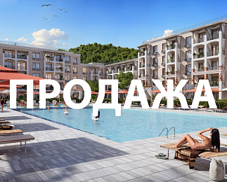 КИПАРИС, Сукко