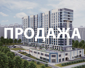 ГОРГИППИЯ МОРСКАЯ, Анапа